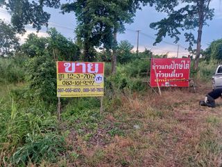 For sale land in Wat Bot, Phitsanulok