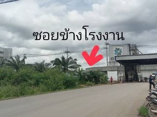 For sale land in Pak Tho, Ratchaburi