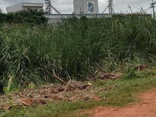 For sale land in Pak Tho, Ratchaburi