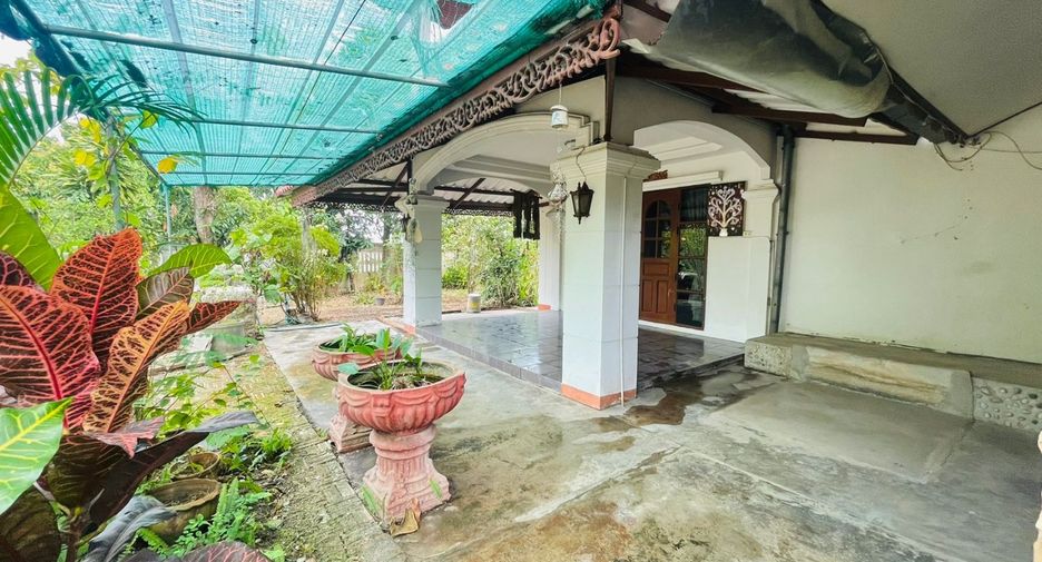 For sale そして for rent 4 Beds house in Saraphi, Chiang Mai