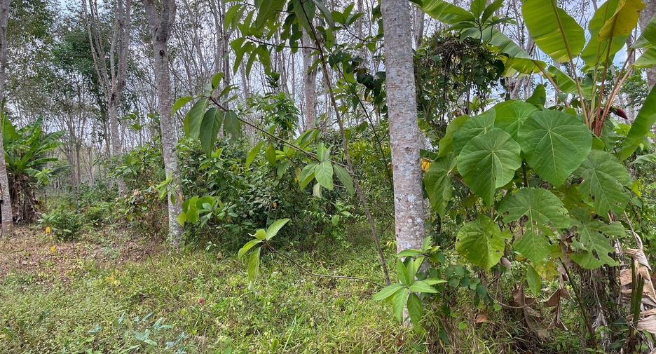 For sale land in Thalang, Phuket