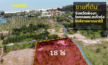 ขาย ที่ดิน ใน ตะกั่วทุ่ง, พังงา