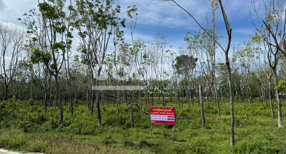 À vendre terrain à Takua Thung, Phang Nga
