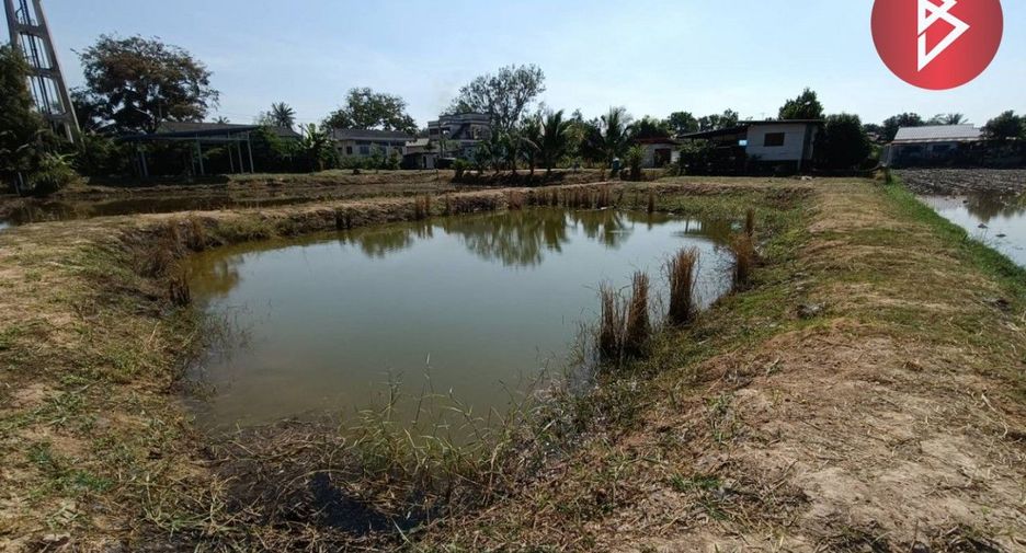 For sale land in Pak Thong Chai, Nakhon Ratchasima