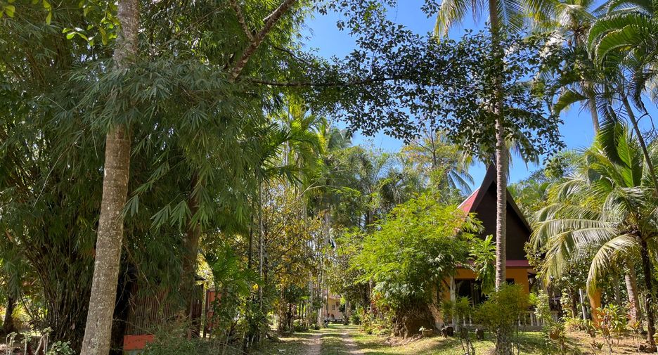 For sale 10 Beds retail Space in Takua Pa, Phang Nga