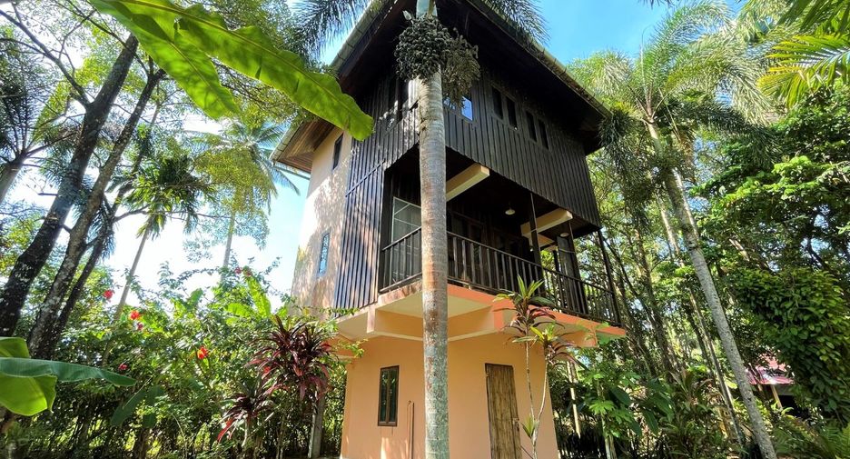 For sale 10 Beds retail Space in Takua Pa, Phang Nga