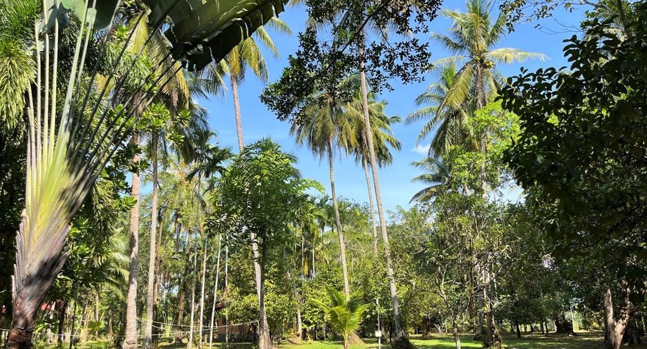 For sale 10 Beds retail Space in Takua Pa, Phang Nga