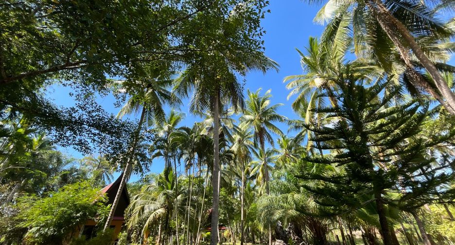 For sale 10 Beds retail Space in Takua Pa, Phang Nga