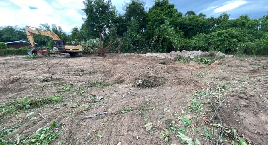 For sale land in Mae Rim, Chiang Mai