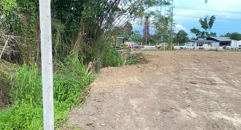 For sale land in Mae Rim, Chiang Mai