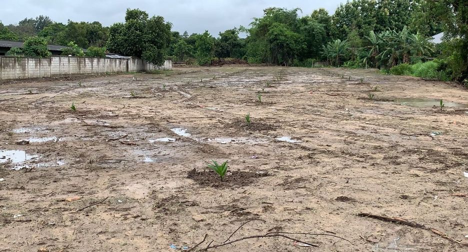For sale land in Mae Rim, Chiang Mai