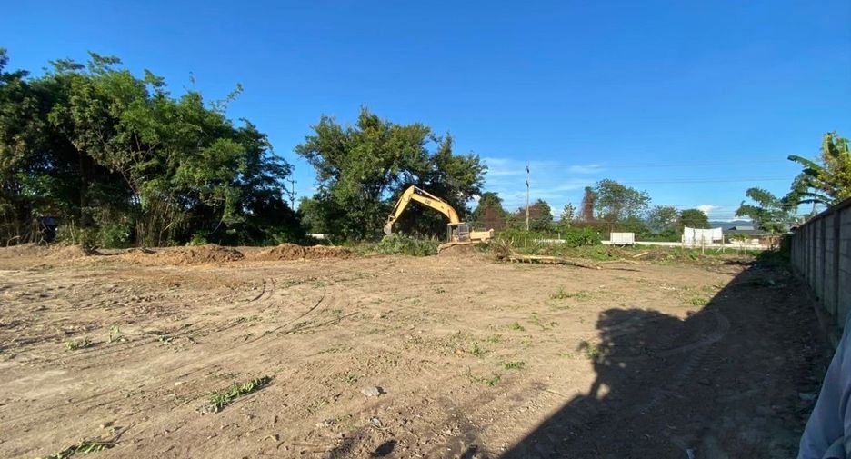 For sale land in Mae Rim, Chiang Mai