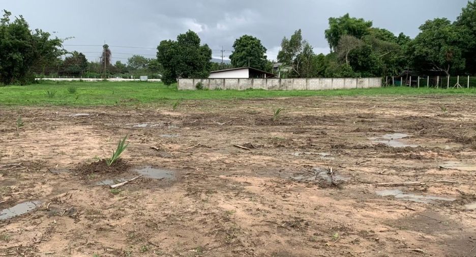 For sale land in Mae Rim, Chiang Mai