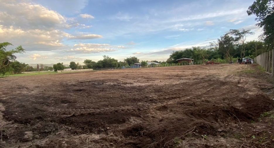 For sale land in Mae Rim, Chiang Mai