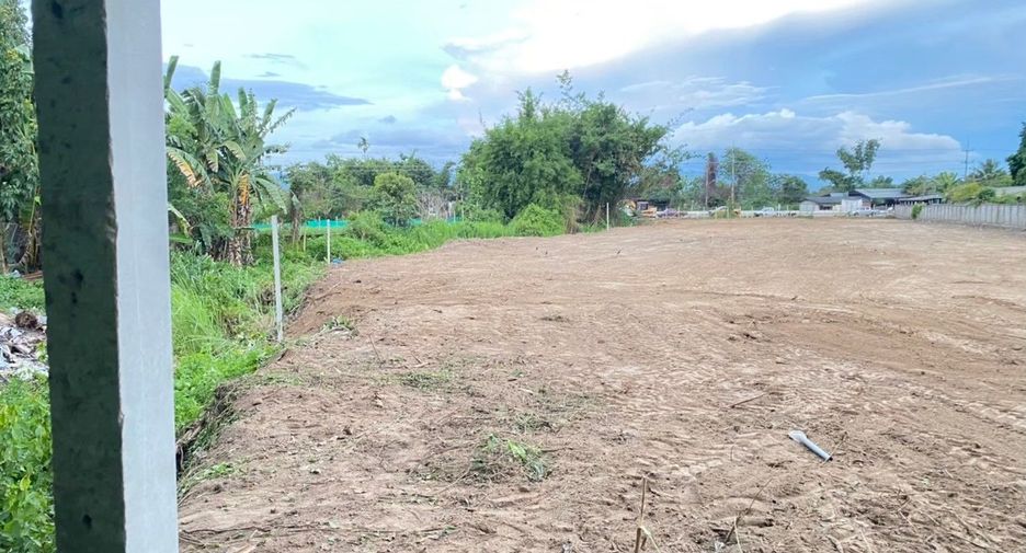For sale land in Mae Rim, Chiang Mai