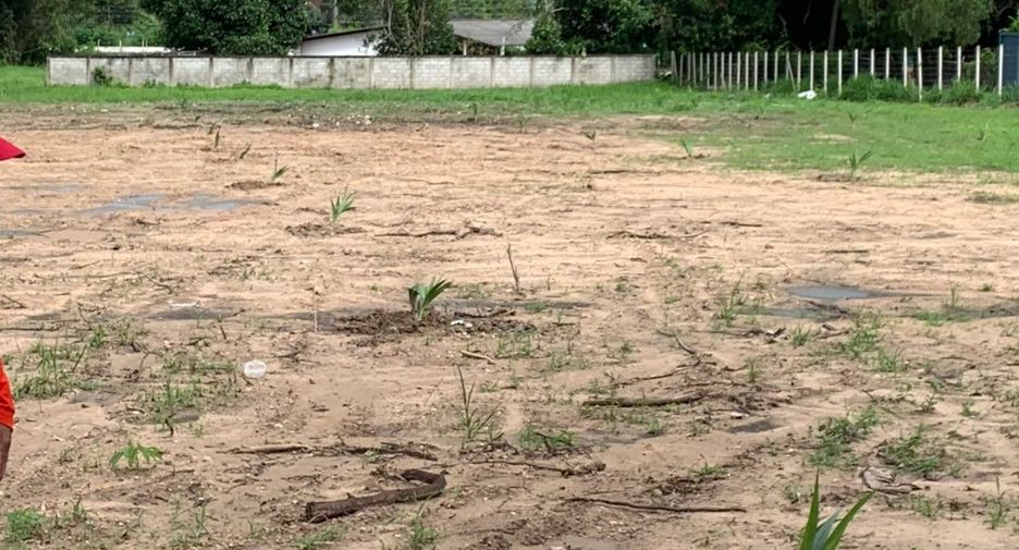 For sale land in Mae Rim, Chiang Mai
