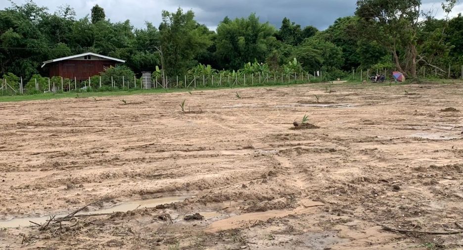 For sale land in Mae Rim, Chiang Mai