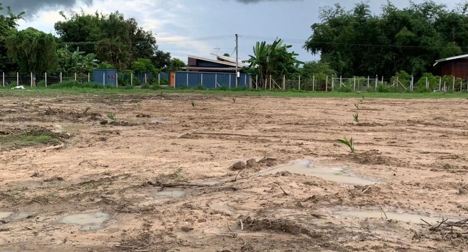 For sale land in Mae Rim, Chiang Mai