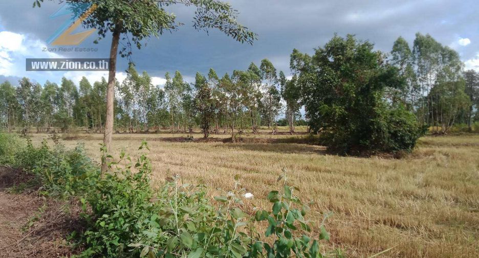 For sale land in Non Khun, Sisaket