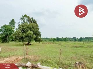 For sale land in Kabin Buri, Prachin Buri