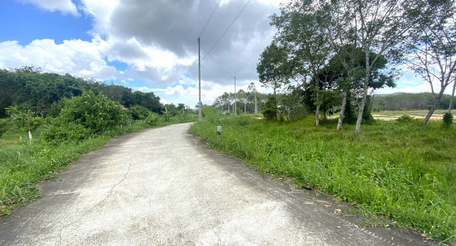 Grundstück zum Kauf in Thalang, Phuket