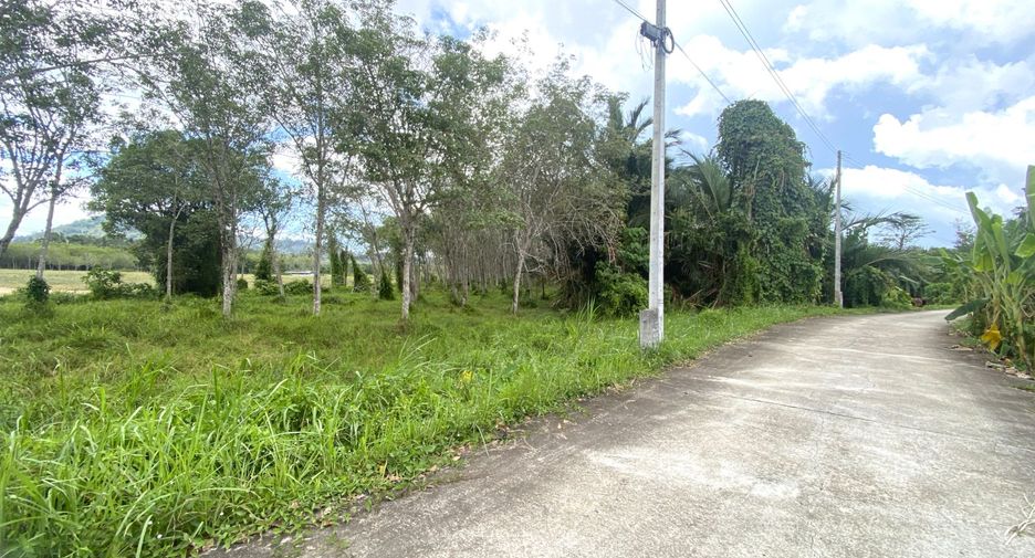 Grundstück zum Kauf in Thalang, Phuket