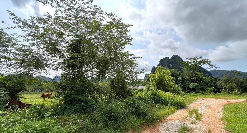 Grundstück zum Kauf in Mueang Krabi, Krabi