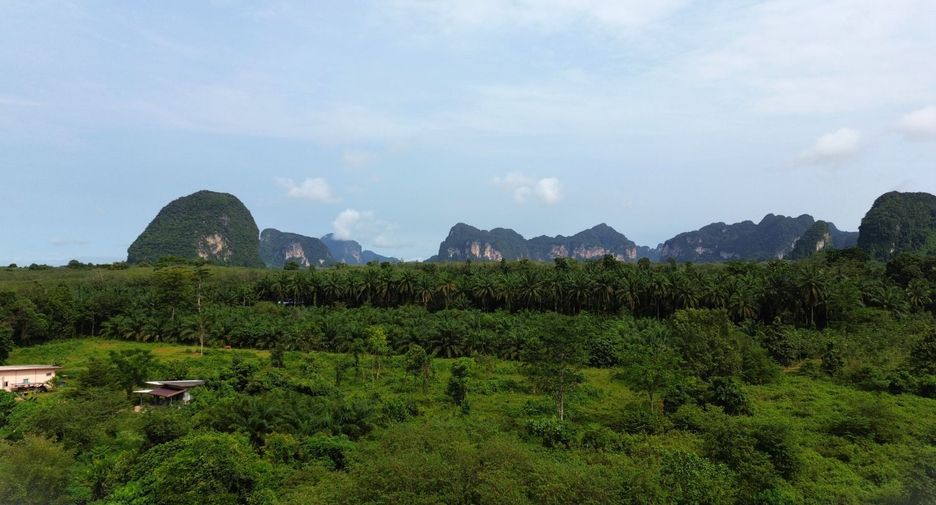 Grundstück zum Kauf in Mueang Krabi, Krabi