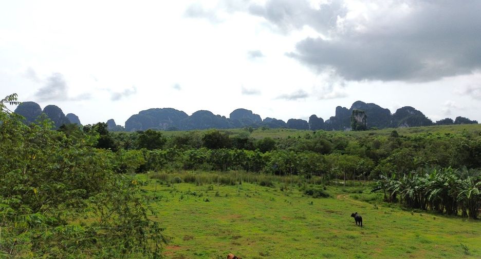 Grundstück zum Kauf in Mueang Krabi, Krabi
