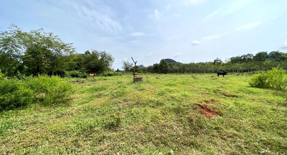 Grundstück zum Kauf in Mueang Krabi, Krabi