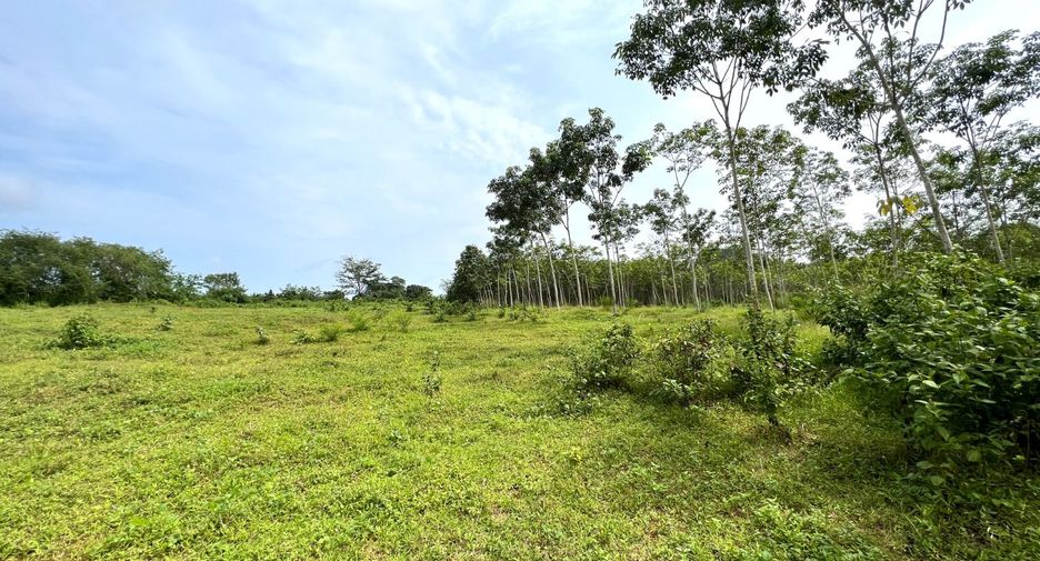 Grundstück zum Kauf in Mueang Krabi, Krabi