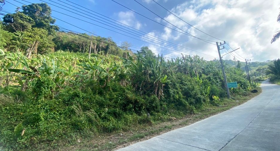 À vendre terrain à Mueang Phuket, Phuket