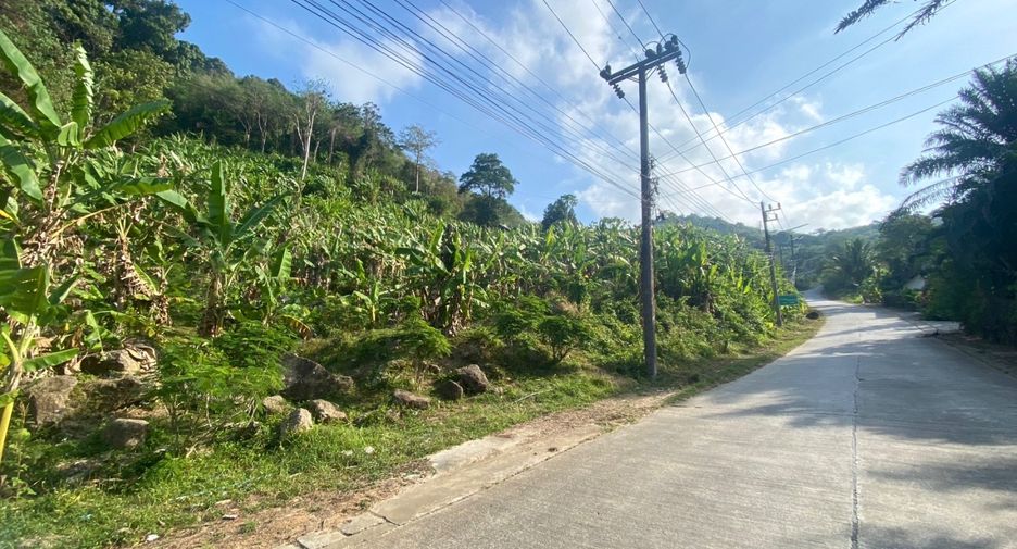 À vendre terrain à Mueang Phuket, Phuket
