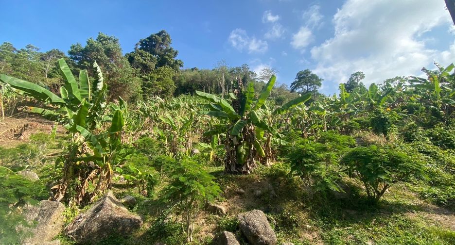 À vendre terrain à Mueang Phuket, Phuket