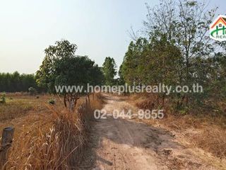 For sale land in Na Chueak, Maha Sarakham