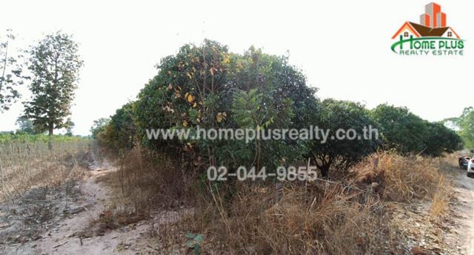 For sale land in Na Chueak, Maha Sarakham