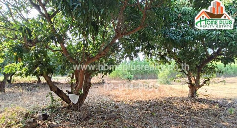For sale land in Na Chueak, Maha Sarakham