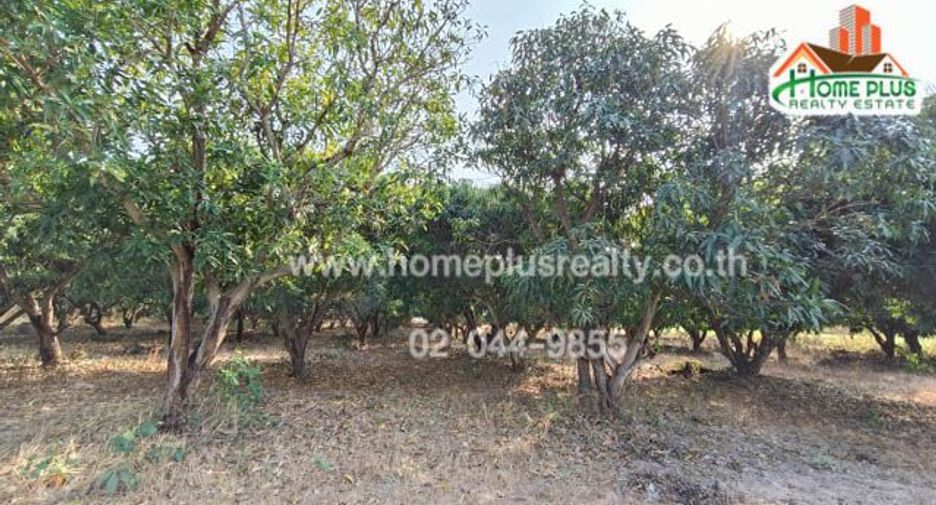 For sale land in Na Chueak, Maha Sarakham