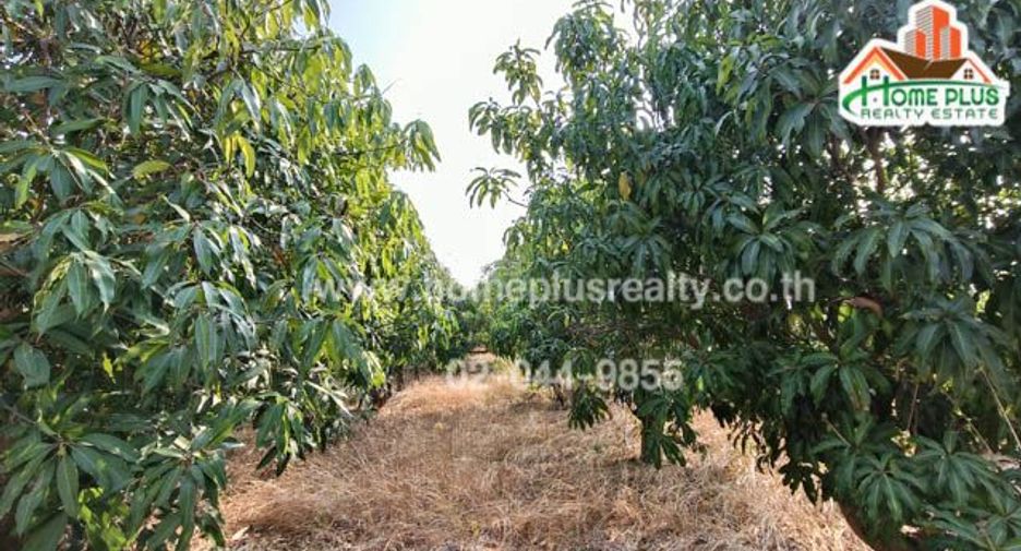 For sale land in Na Chueak, Maha Sarakham