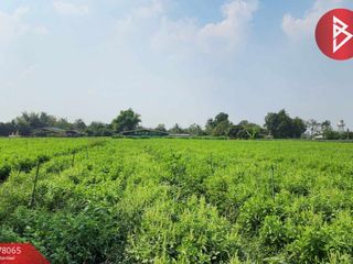 For sale studio land in Kamphaeng Saen, Nakhon Pathom