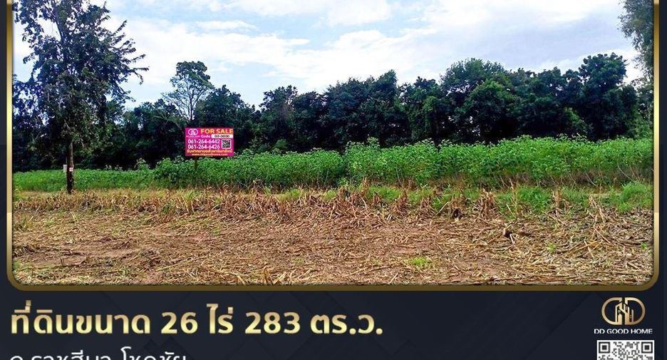 For sale land in Soeng Sang, Nakhon Ratchasima