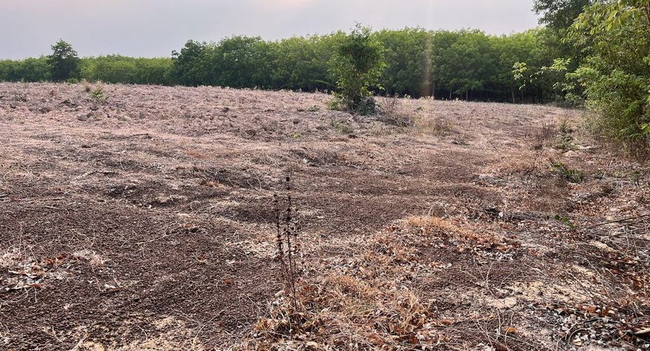 À vendre terrain à Mueang Sa Kaeo, Sa Kaeo
