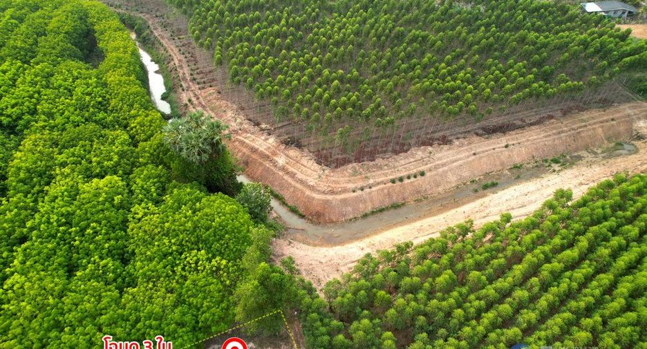 À vendre terrain à Mueang Sa Kaeo, Sa Kaeo