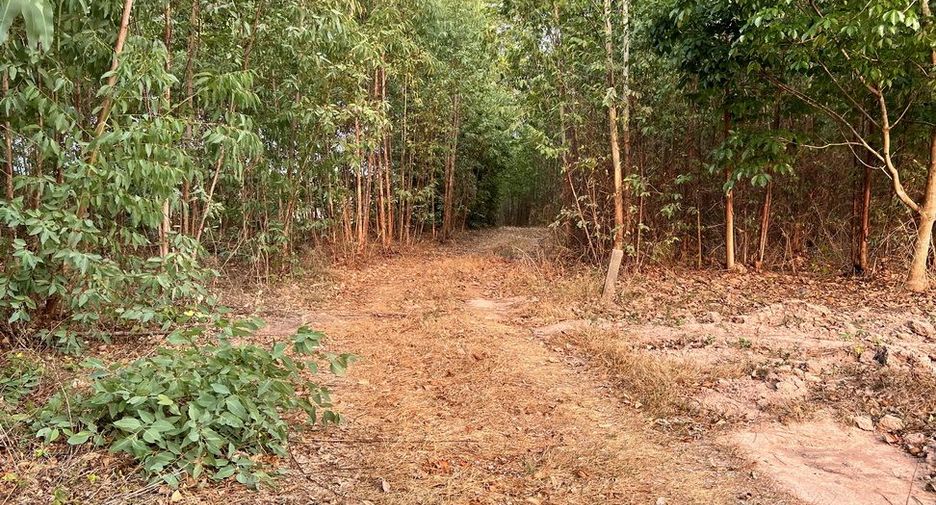 À vendre terrain à Mueang Sa Kaeo, Sa Kaeo