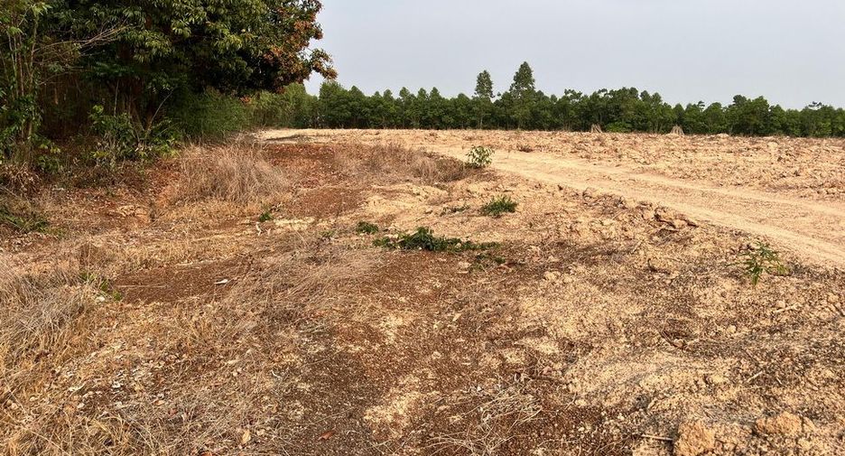 À vendre terrain à Mueang Sa Kaeo, Sa Kaeo