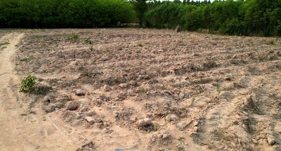 À vendre terrain à Mueang Sa Kaeo, Sa Kaeo