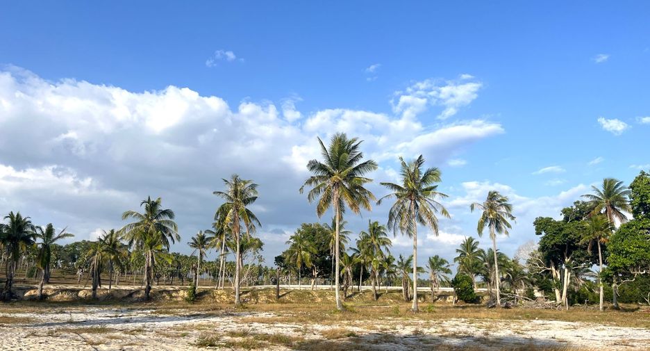 Terreno en venta en Takua Thung, Phang Nga