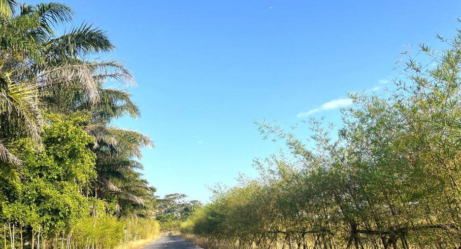 Terreno en venta en Takua Thung, Phang Nga