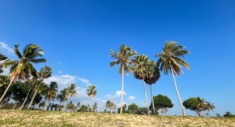 Terreno en venta en Takua Thung, Phang Nga