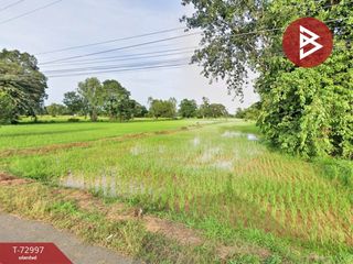 For sale land in Phayu, Sisaket